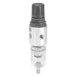 Image of Parker - Watts Filter Regulator 54R825RA