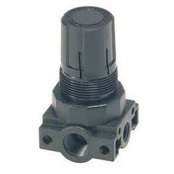 Image of Parker - Watts Pressure Regulator PR354-02CSS