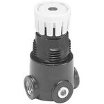 Image of Parker - Watts Pressure Regulator 14G01B13F0GD