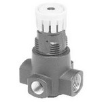 Image of Parker - Watts Pressure Regulator 15F22EA