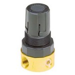Image of Parker - Watts Pressure Regulator 17L44BE