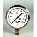 MARSH D1542 - 3.0" Dial - 0-30 psi Pressure Gauge