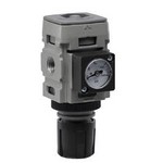 Image of Parker - Watts Pressure Regulator P31QA92GEMN5LNW