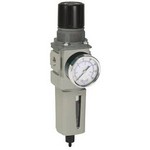 Image of Parker - Watts Filter Regulator P32CB93GEMNGLNW