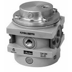 Image of Parker - Watts Pressure Regulator P3YRA96BNEN