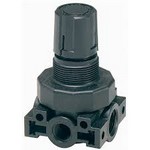 Image of Parker - Watts Pressure Regulator R344-02C